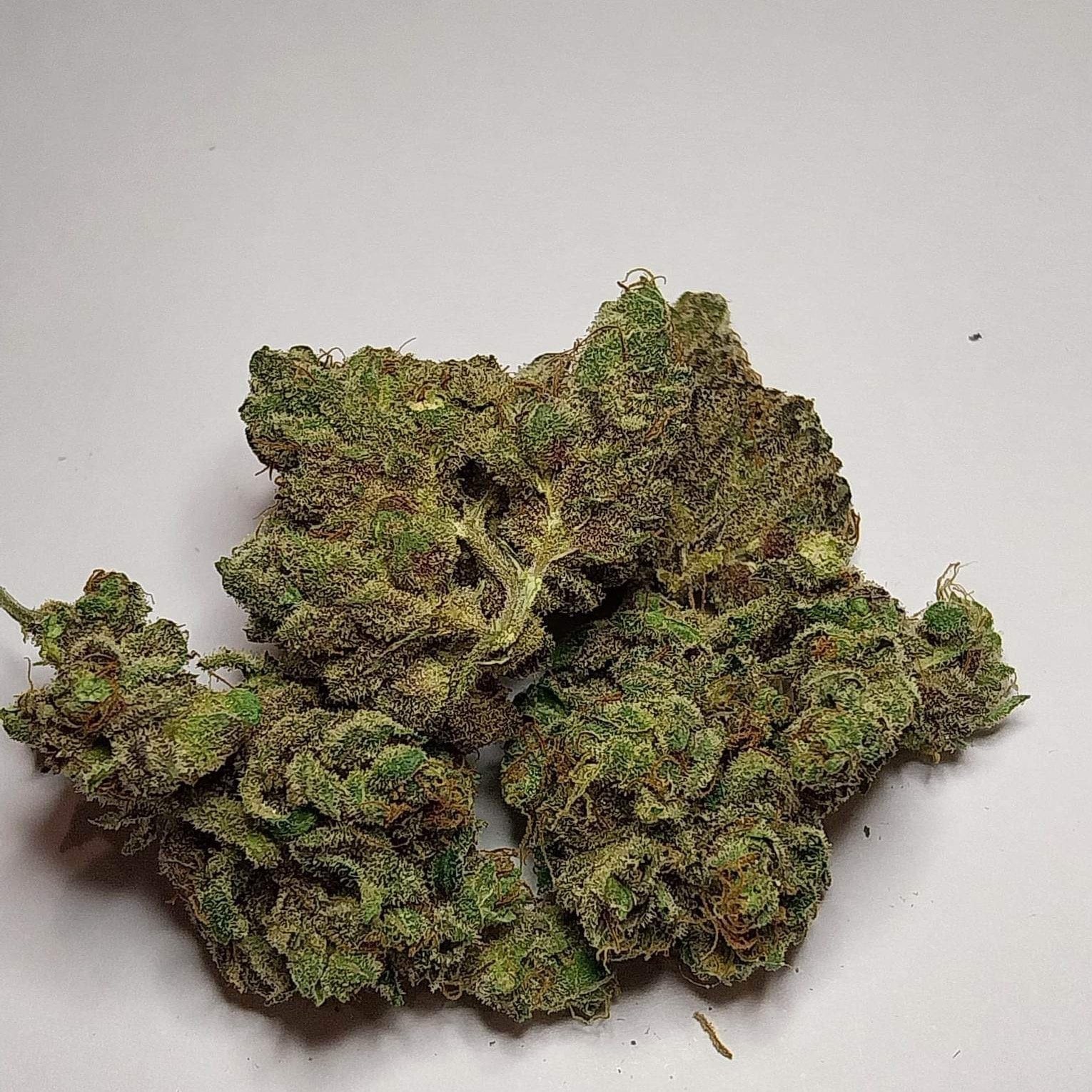 Kush Paradise