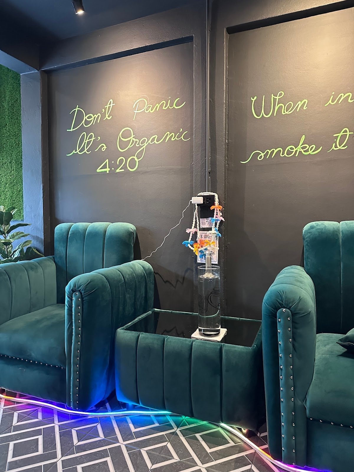 Tree Lounge Samui Cannabis Weed