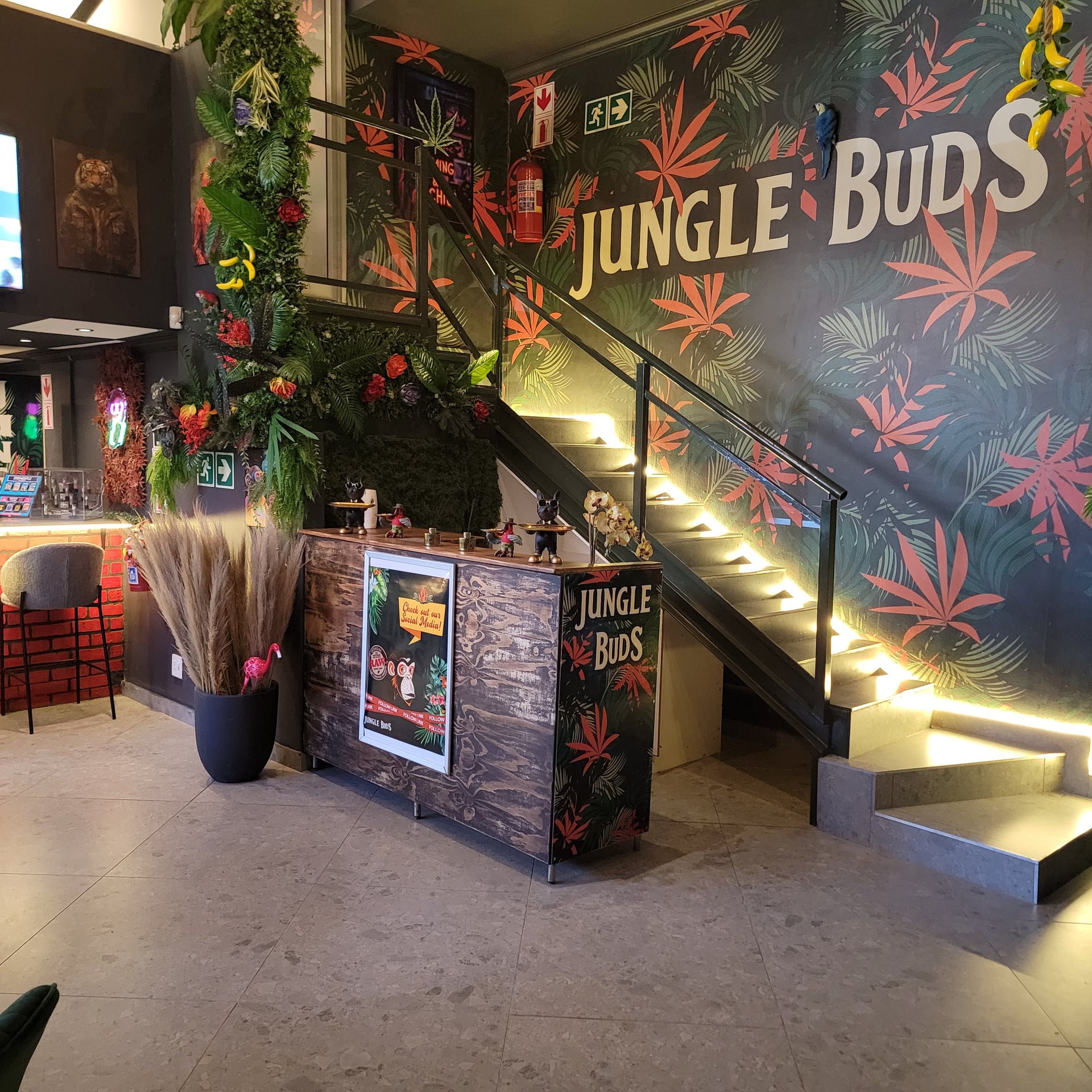 Jungle Buds