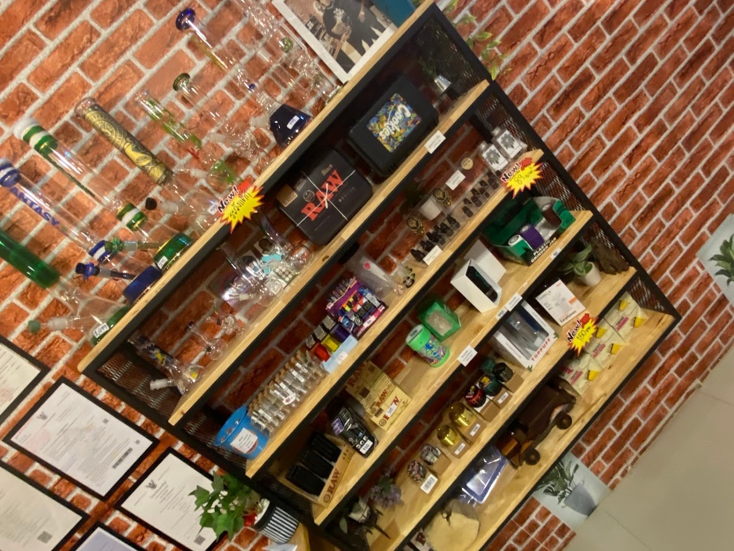 Mike Dream Cannabis Cafe