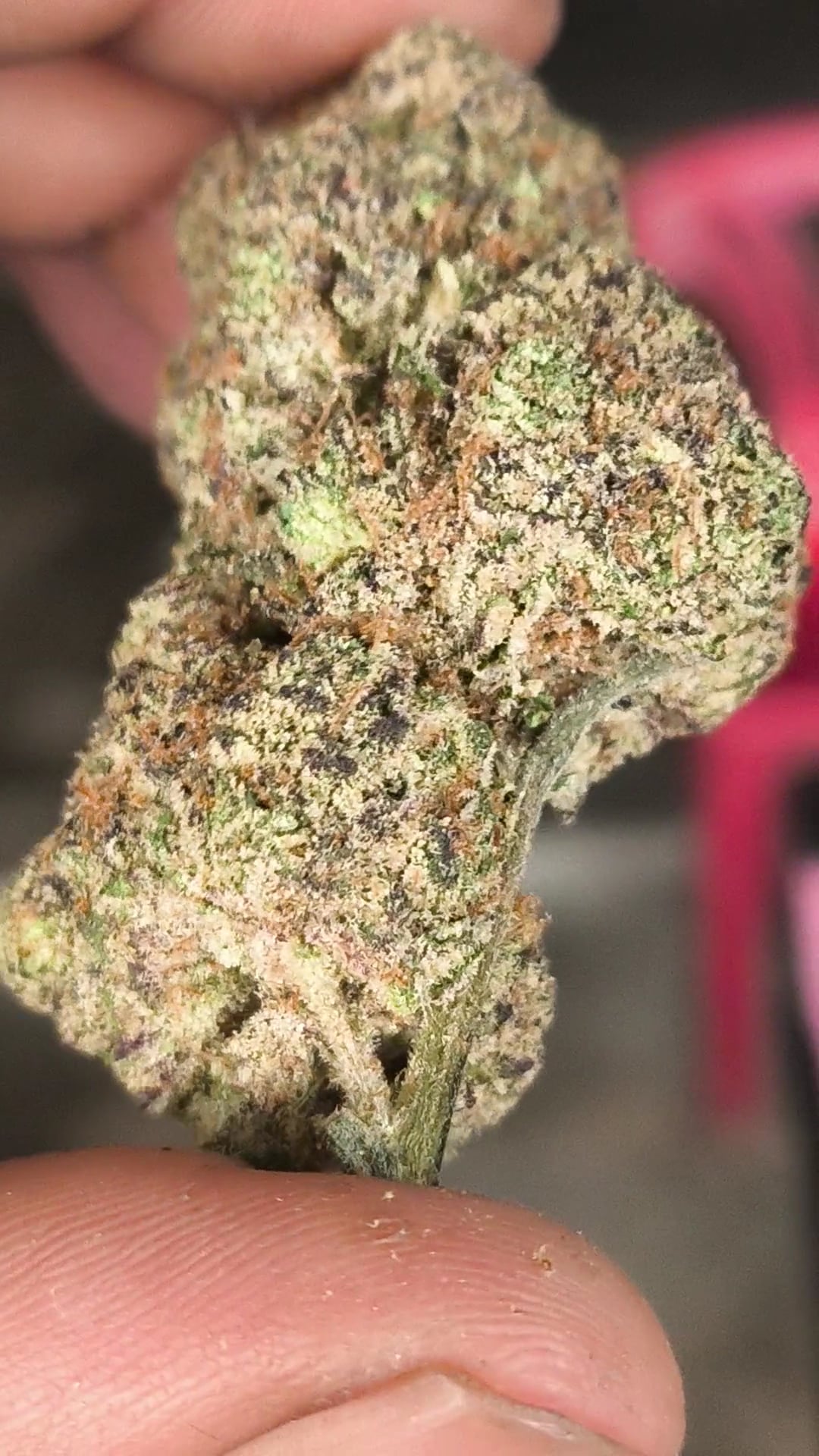 Zhuhook Weed