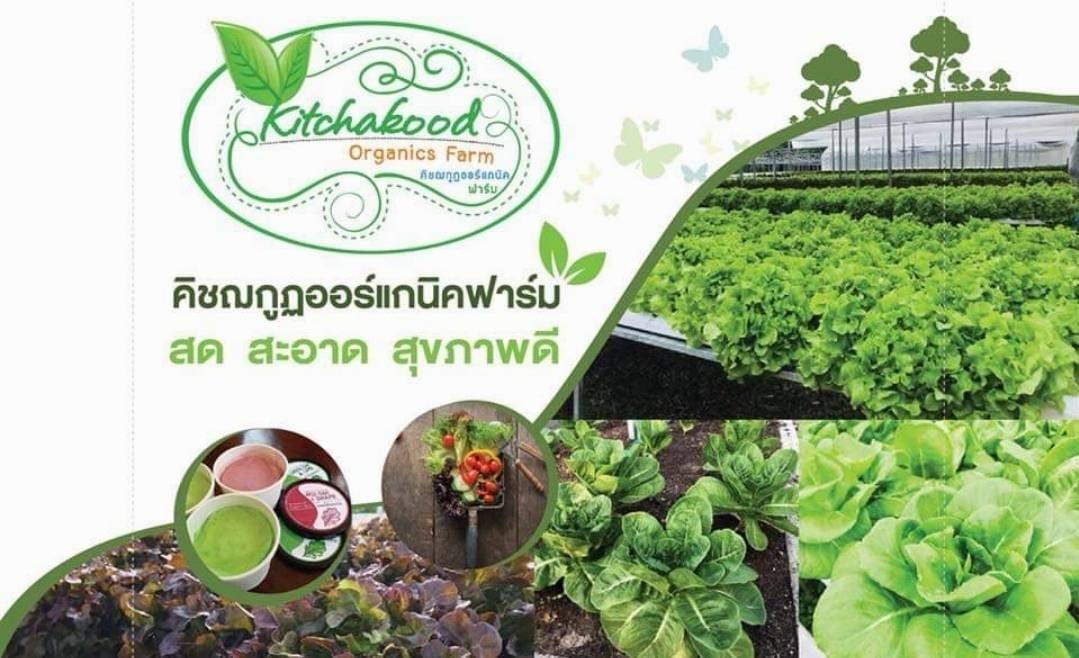 Khichch Kut Xxrkaeni Kh Farm Khichch Kut Farm