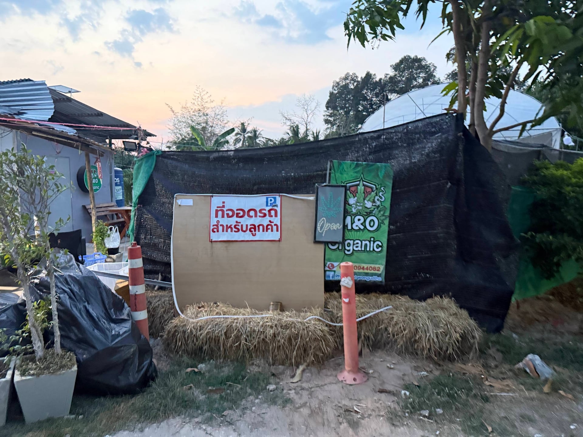 M & O Organic