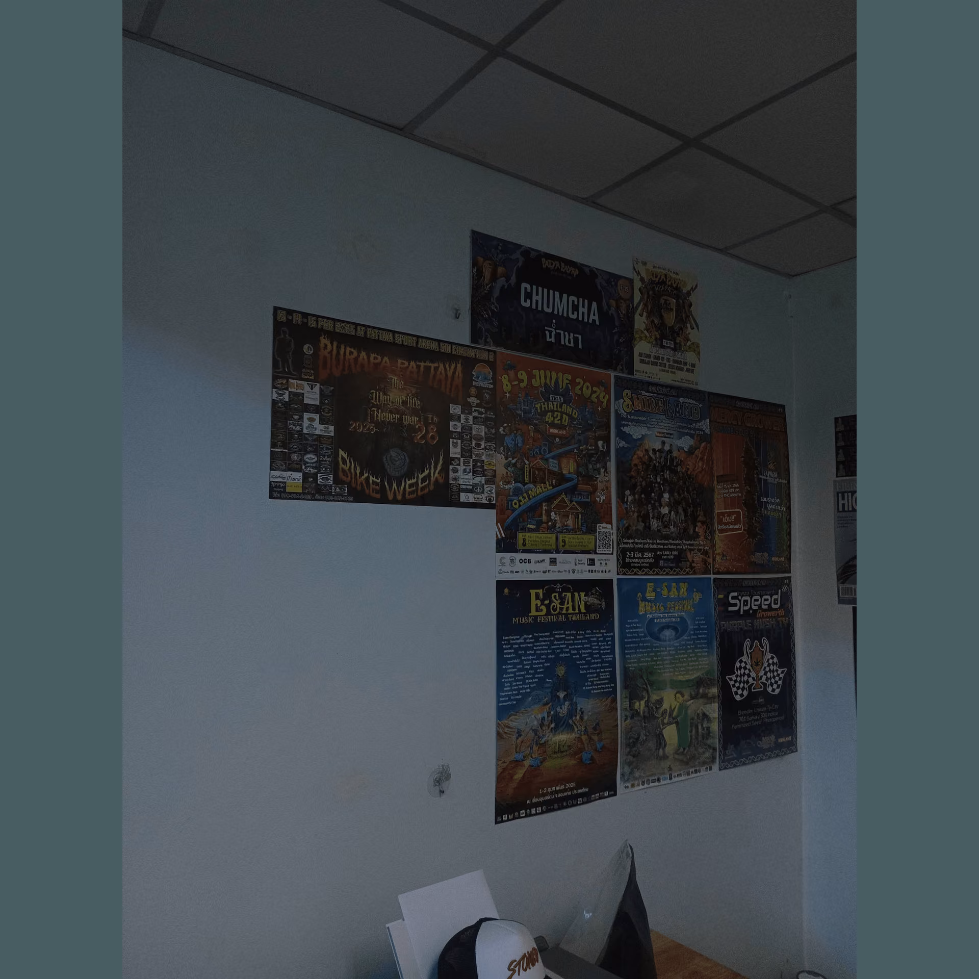 Cannabis Social Club Space Zone logótipo