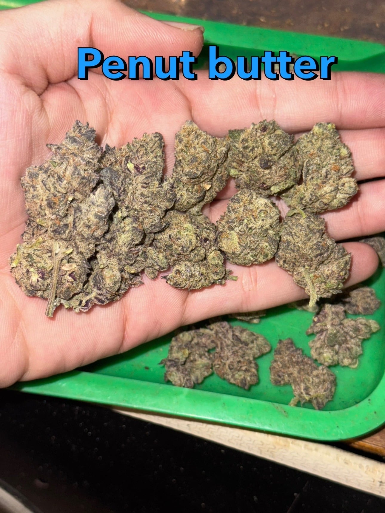 THE Hight Sweet Cannabis
