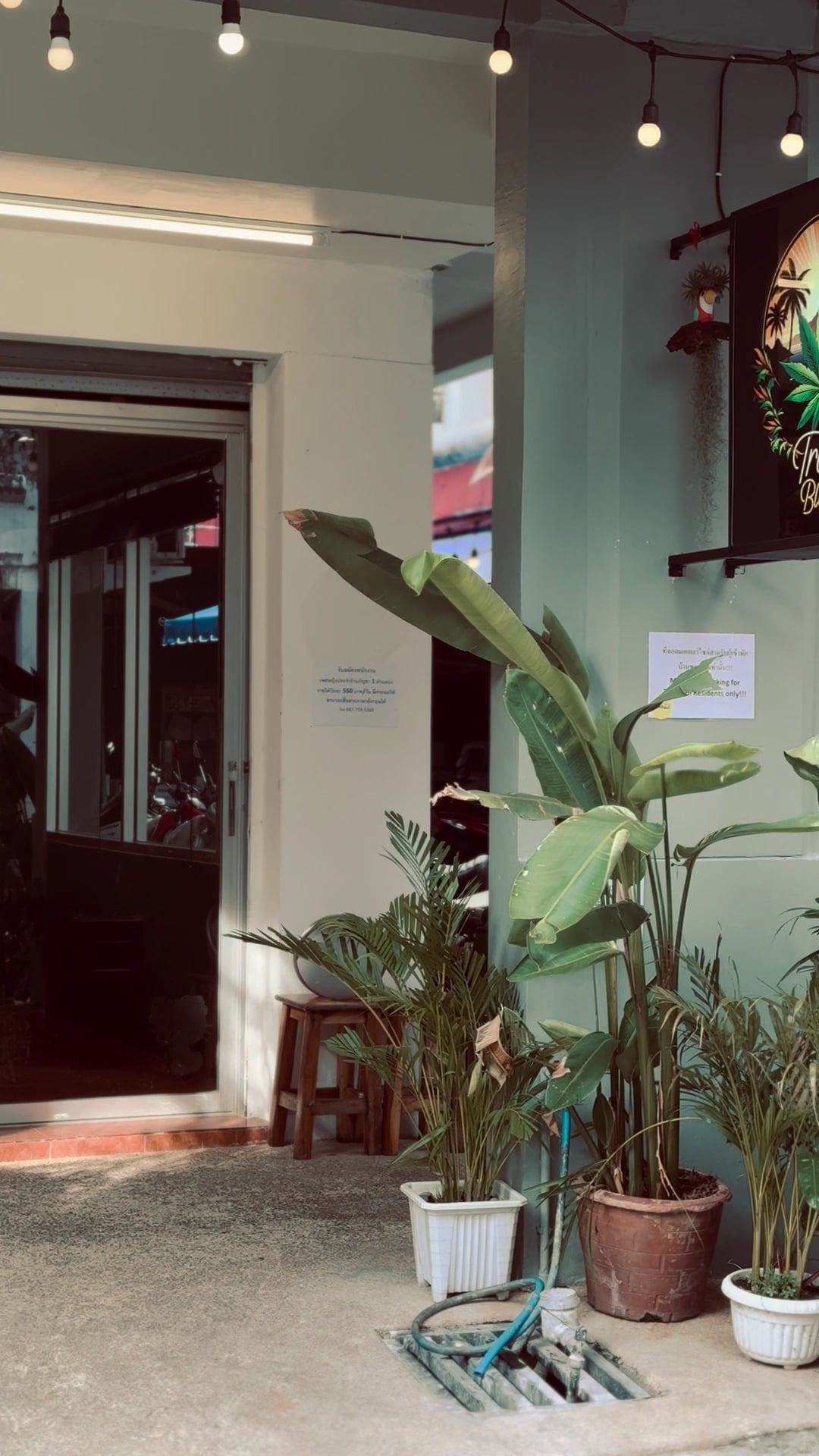 Tropic Bloom - Cannabis Weed Shop & Lounge