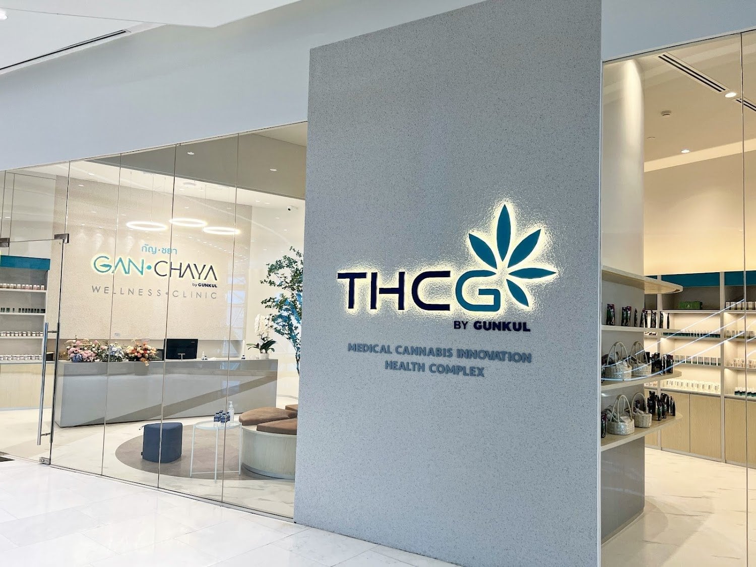 Thcg Holding