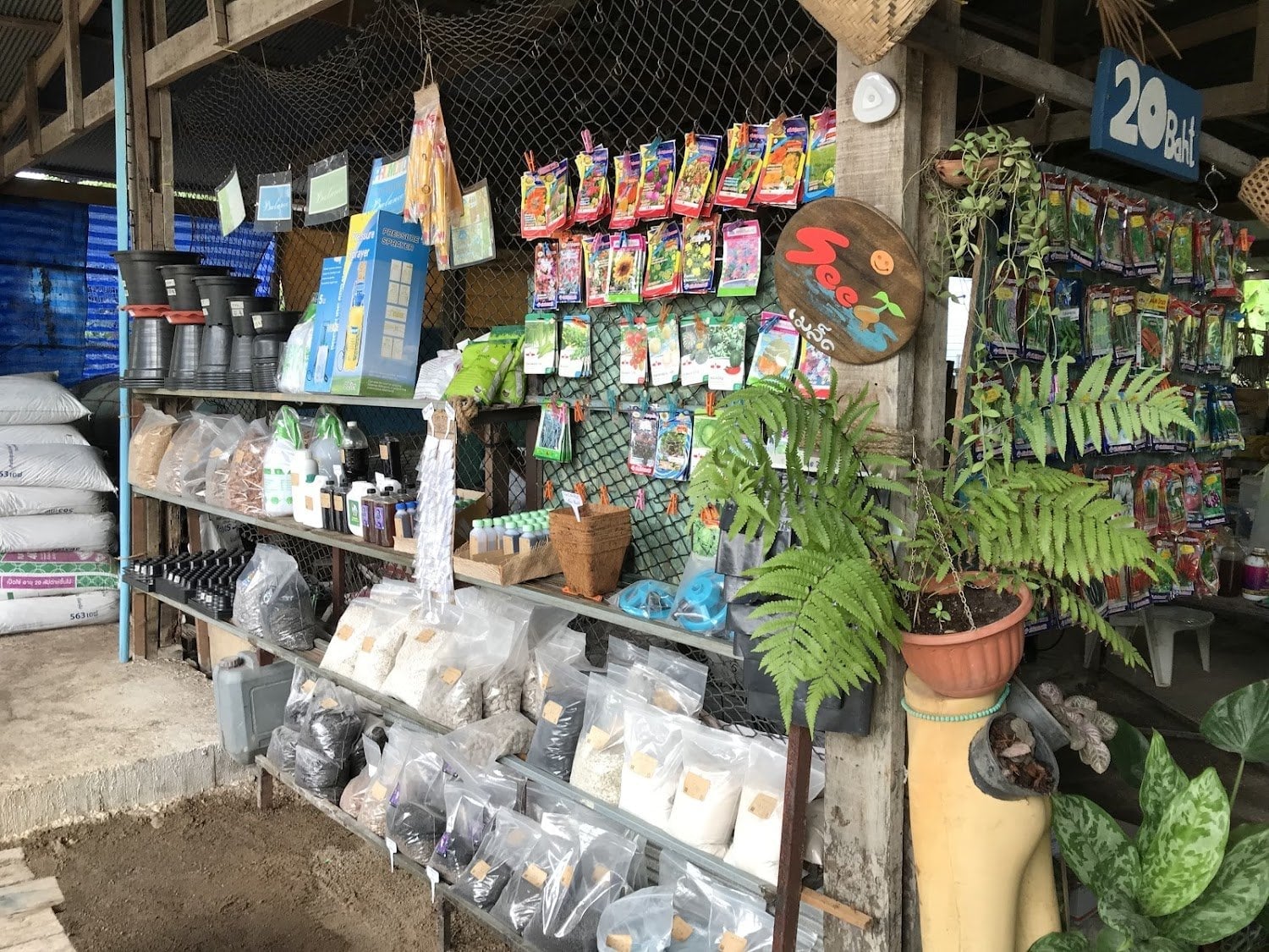 Ground Phangan
