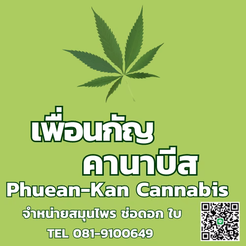 Cannabis Social Club Club 9812 in Phetchaburi Logo