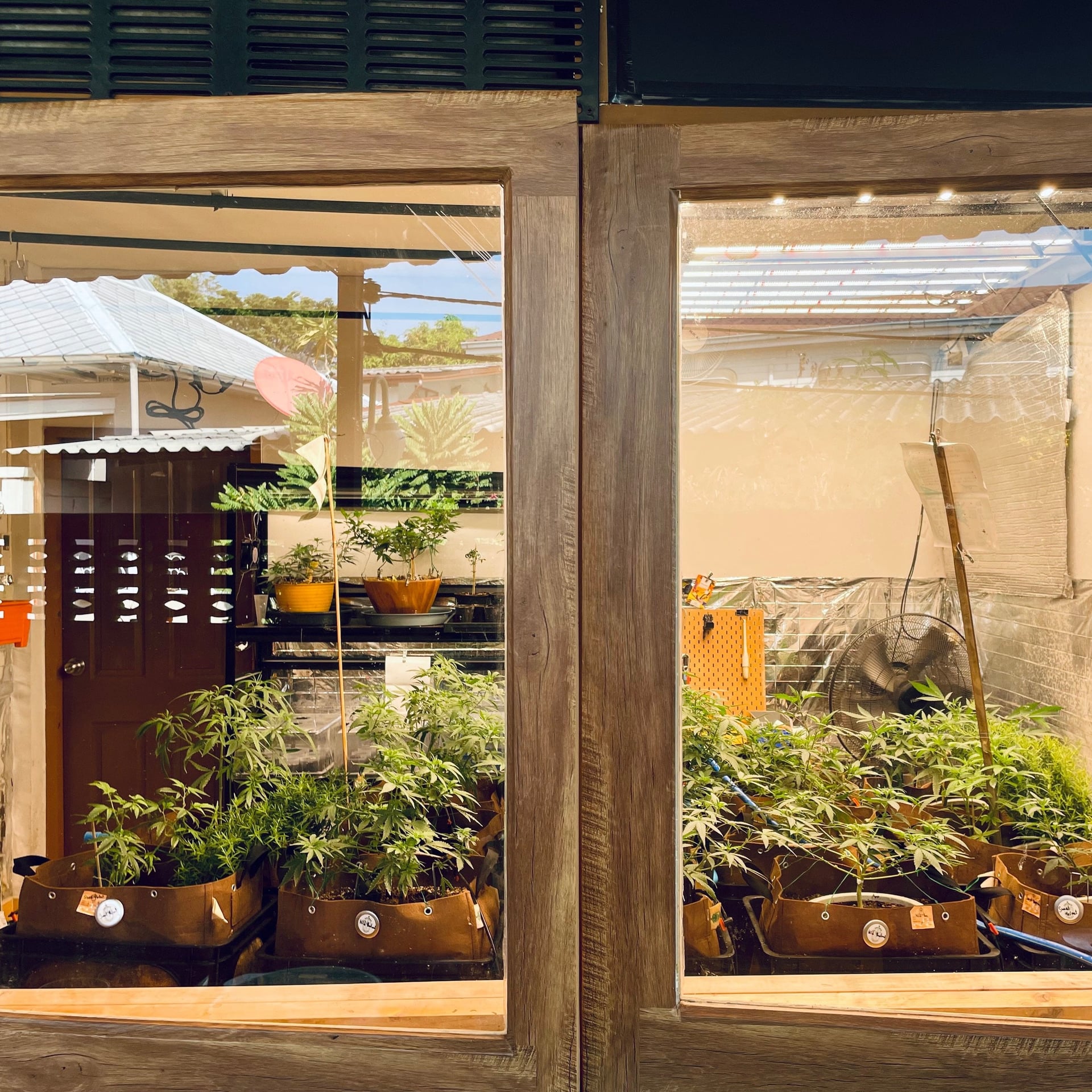 Hi Grower