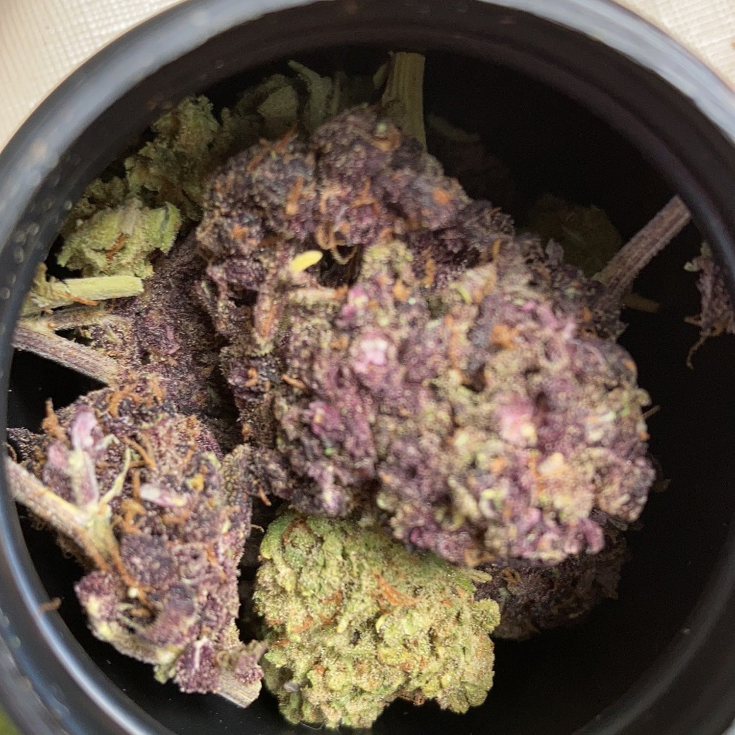 High Lab