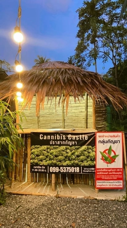 Cannibis Castle