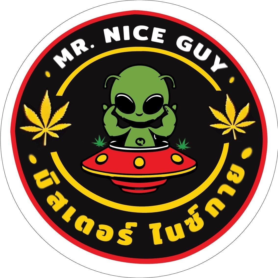 Mr Nice Guy