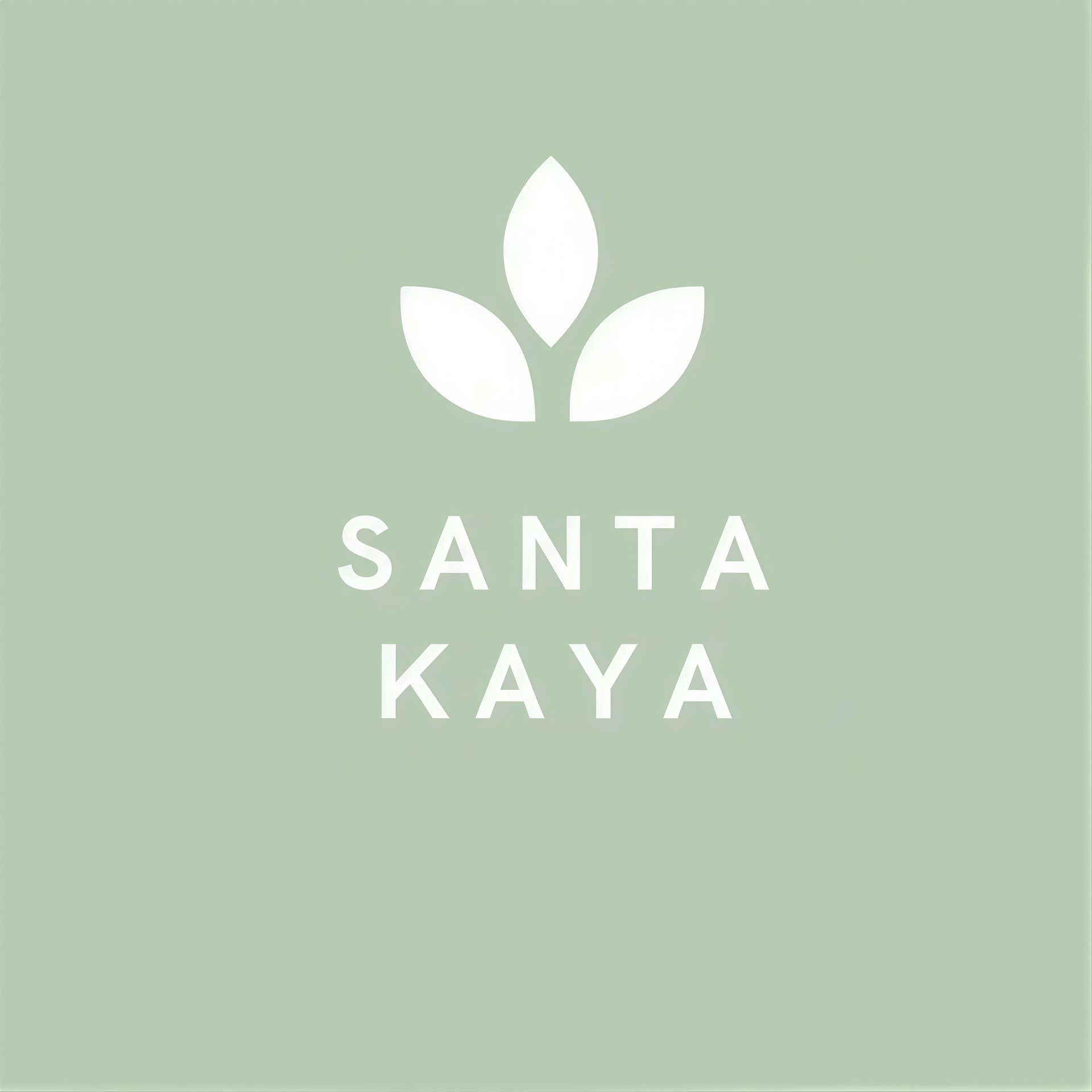 Santa Kaya