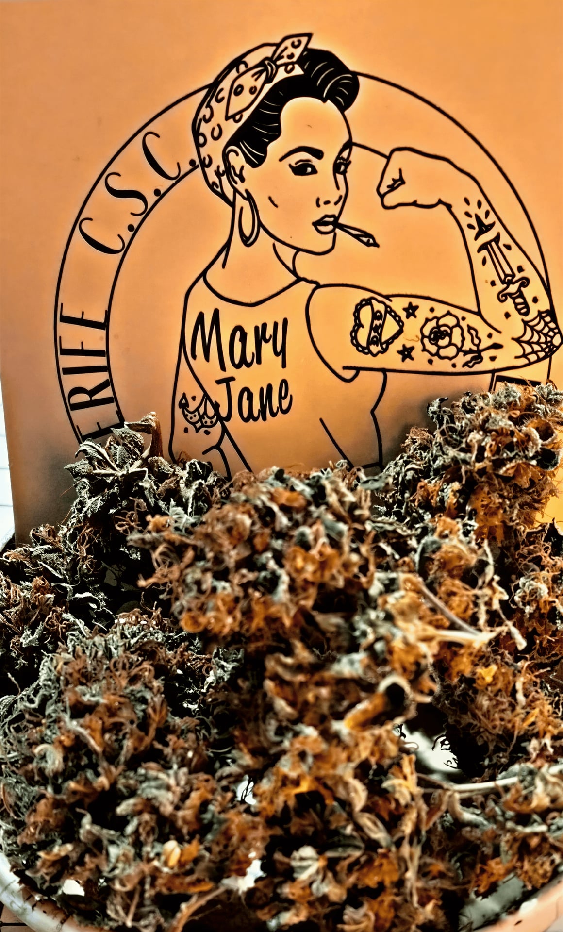 Mary Jane