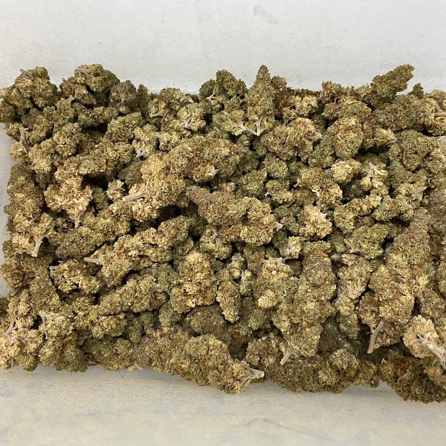 GrowGreenthailand
