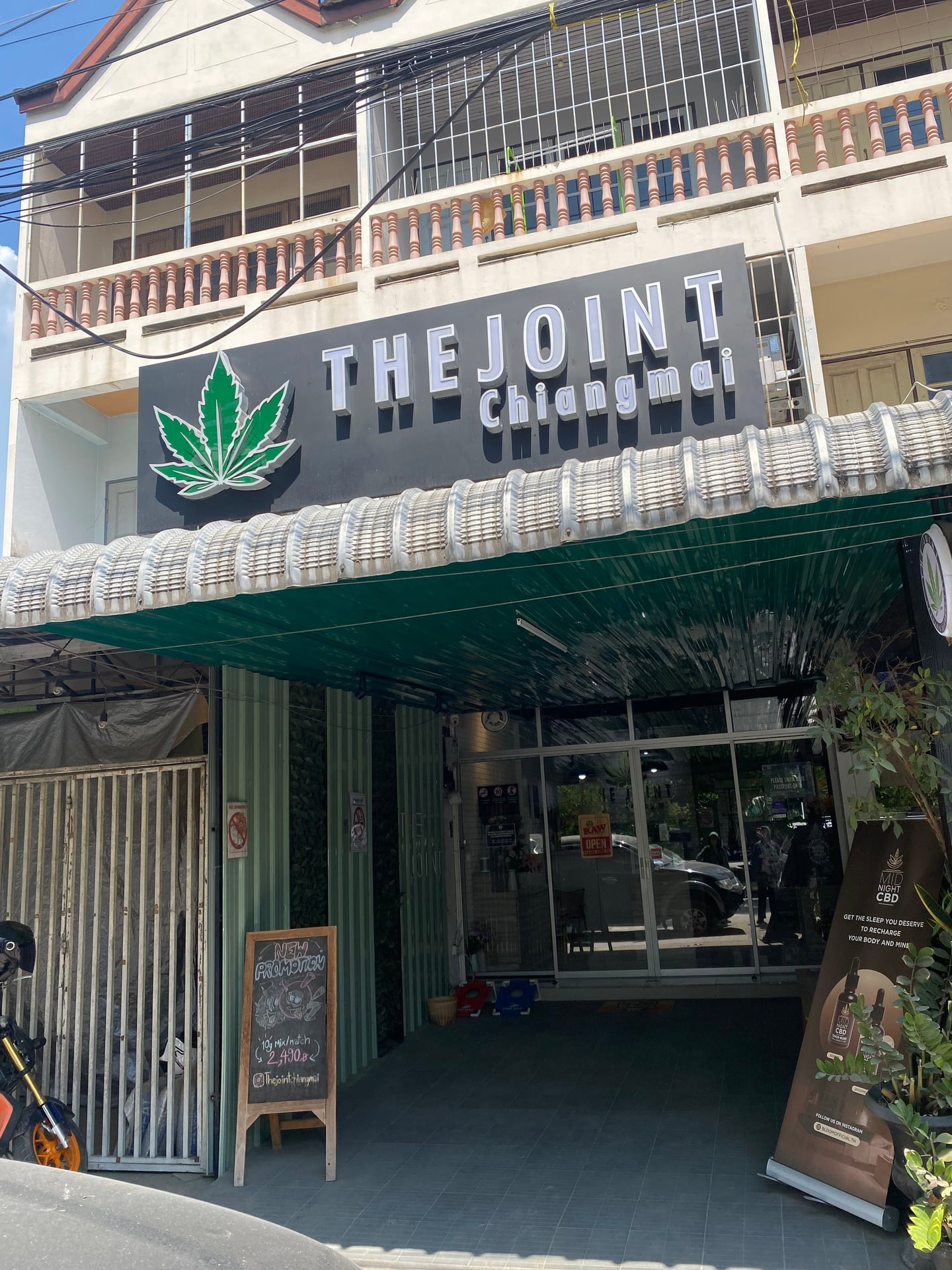 Space Trees: Cannabis Dispensary Chiang Mai