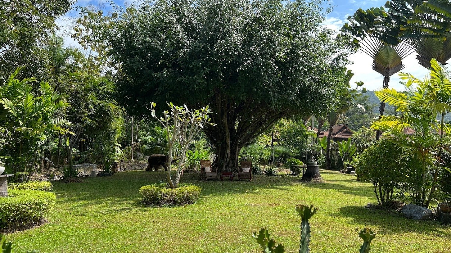 Ying Green Homestay