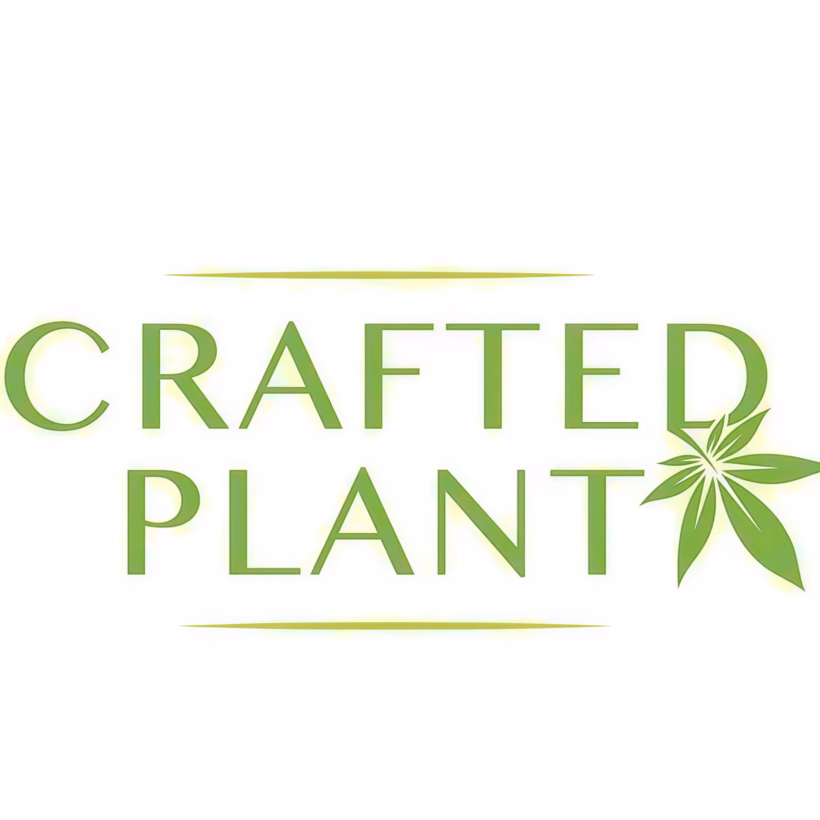 Crafted Plant