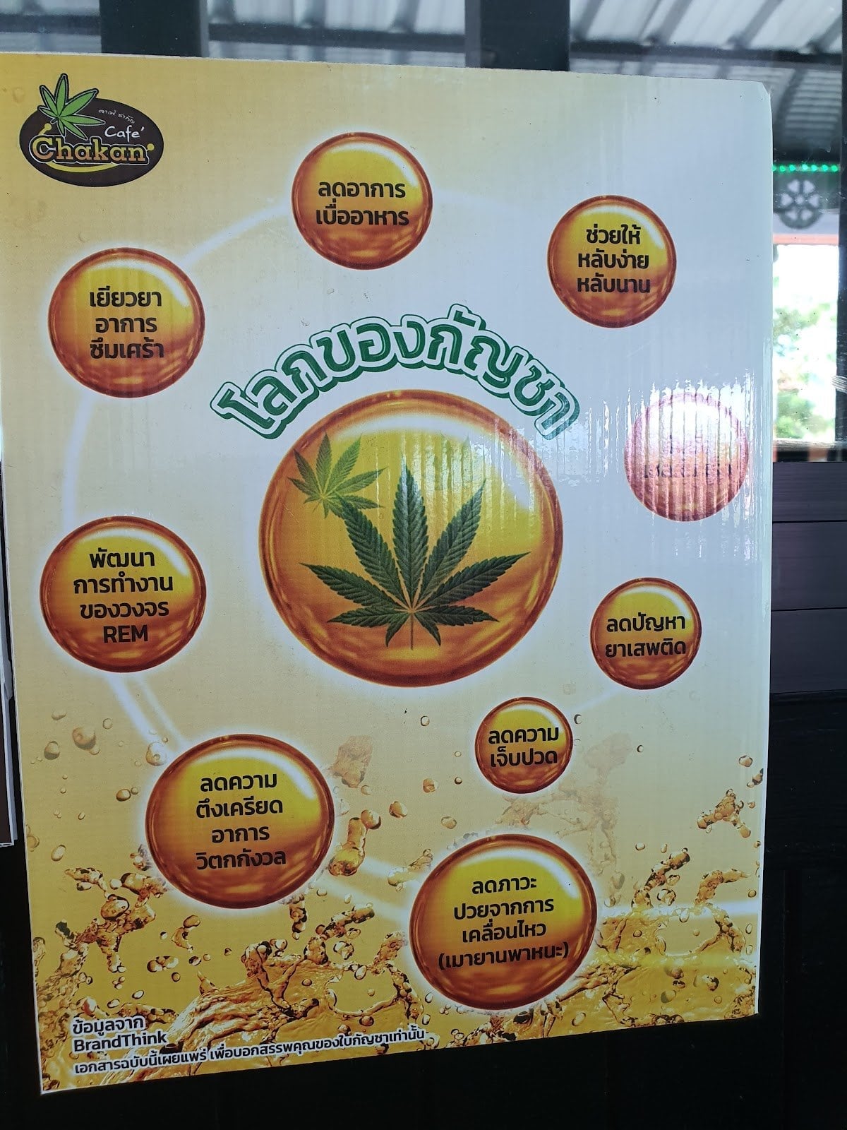 Cannabis Cafe Tha Sala