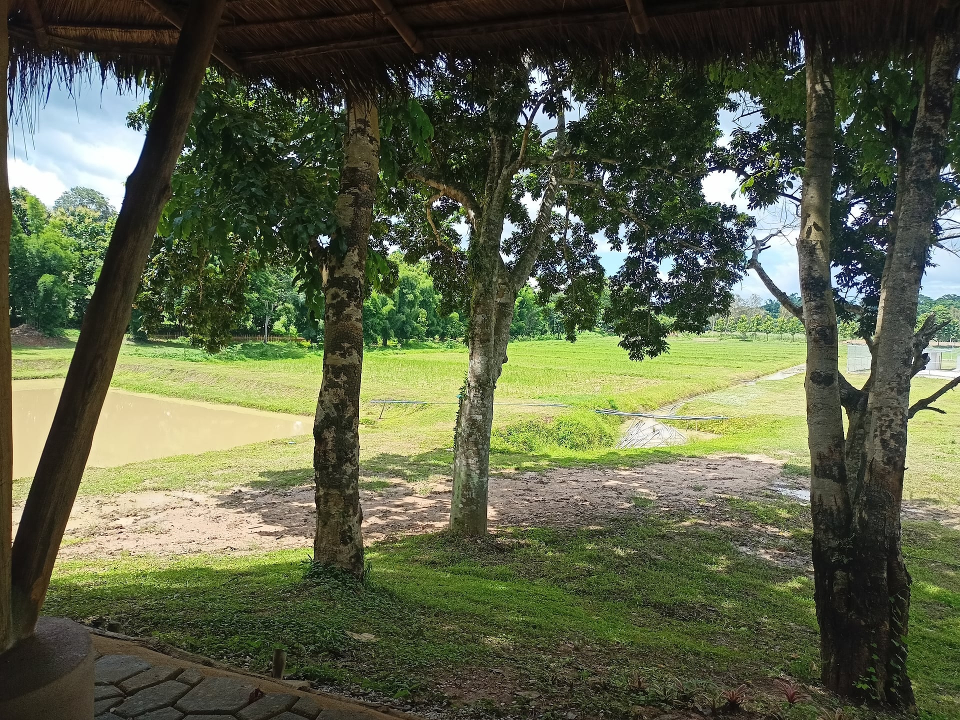Innoleaf Valley