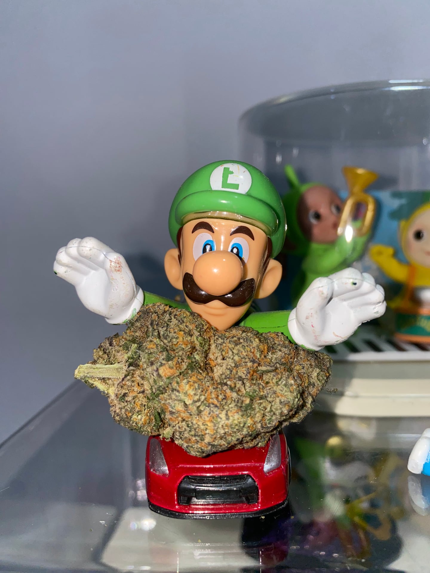 WEED THE OPP High Zone