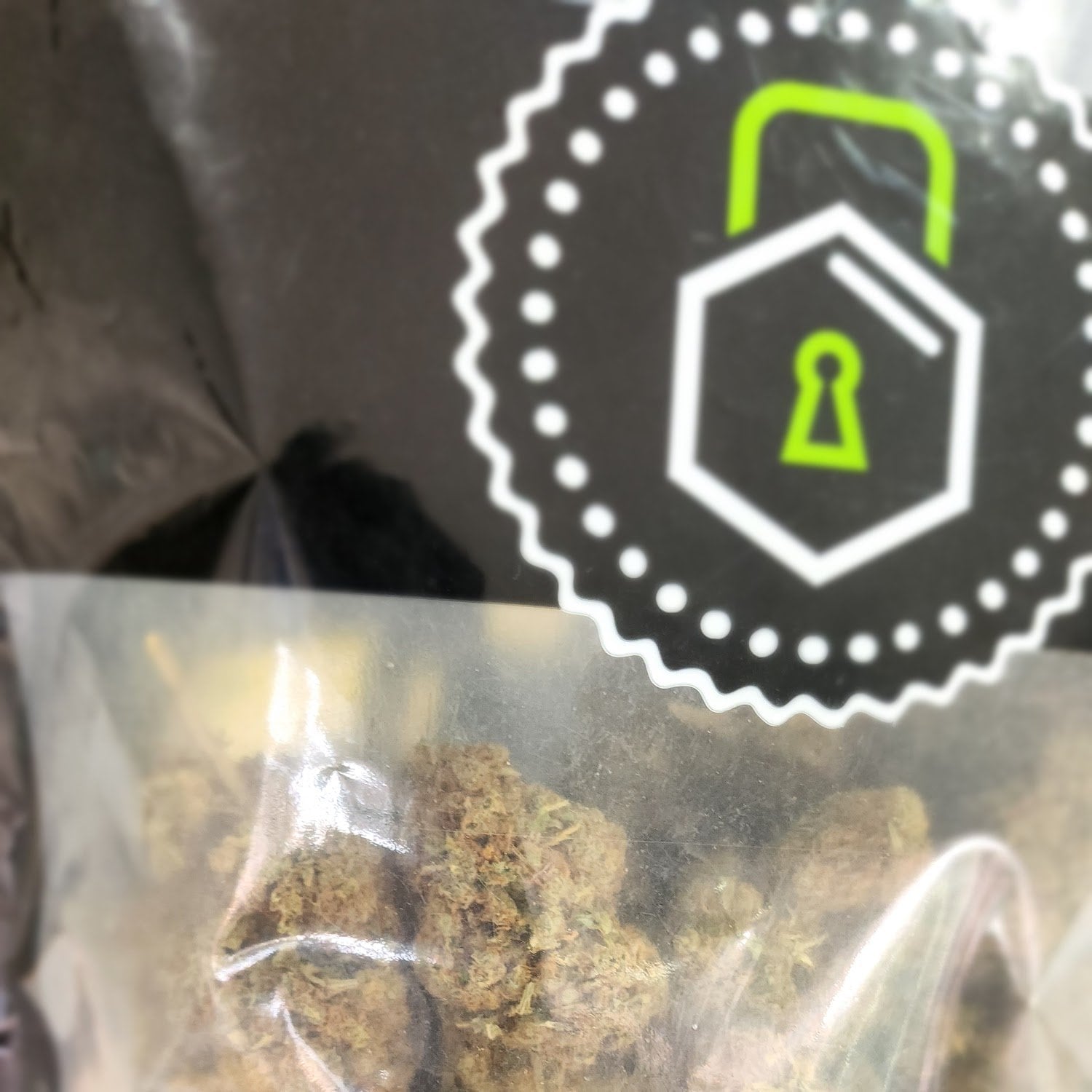 Mr. Cannabis