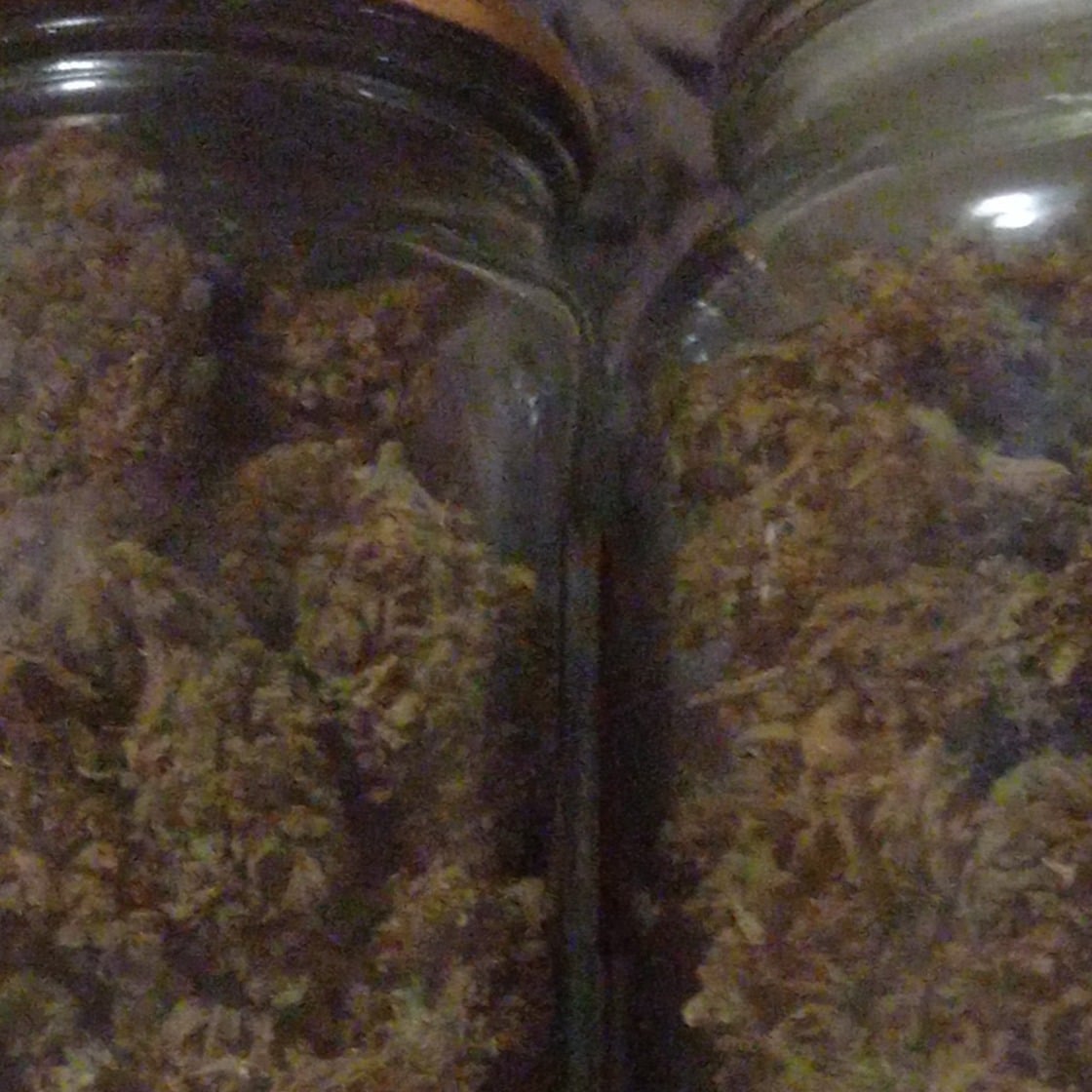 X'Mathian Haze