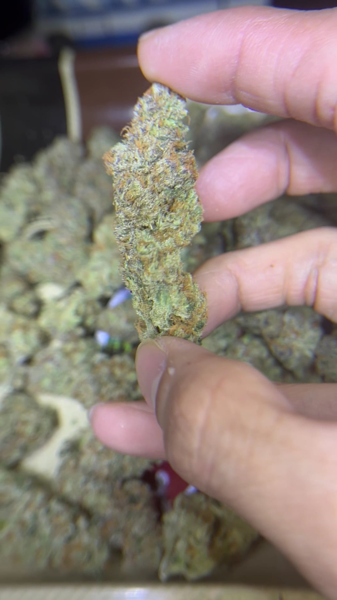OG Monkey Farm