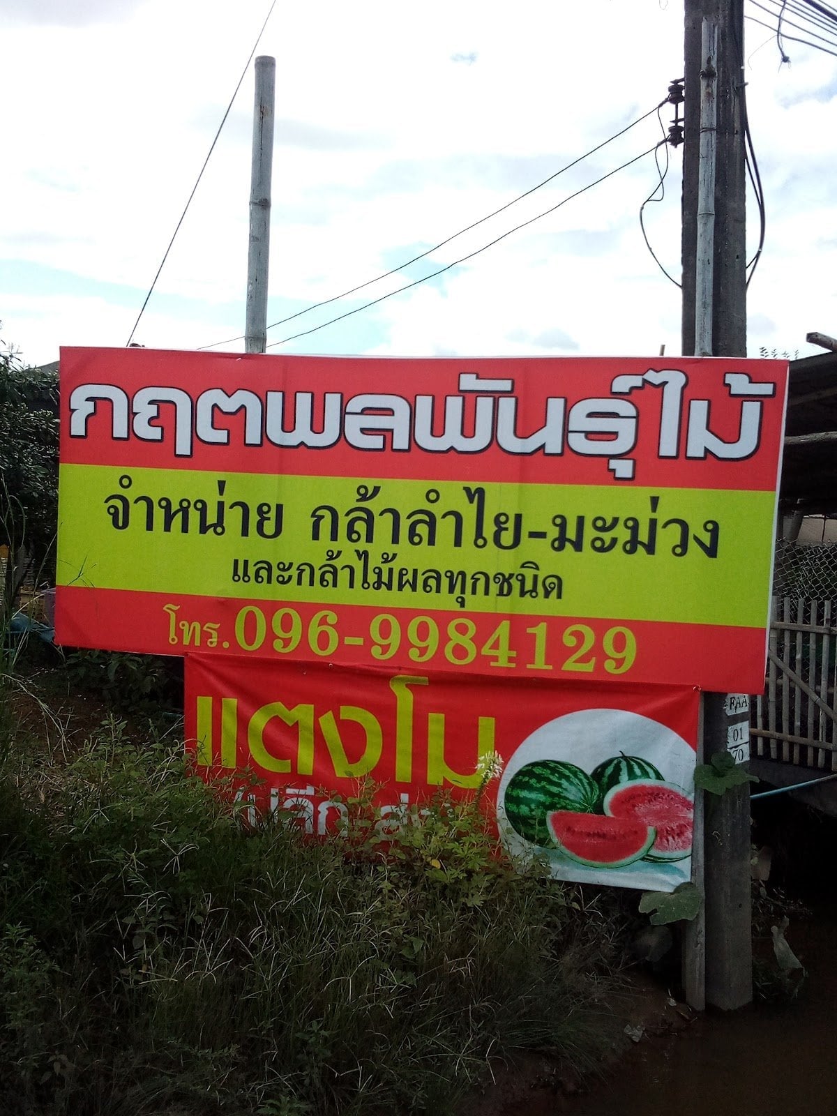 K Vt Phl Phanthu Mi