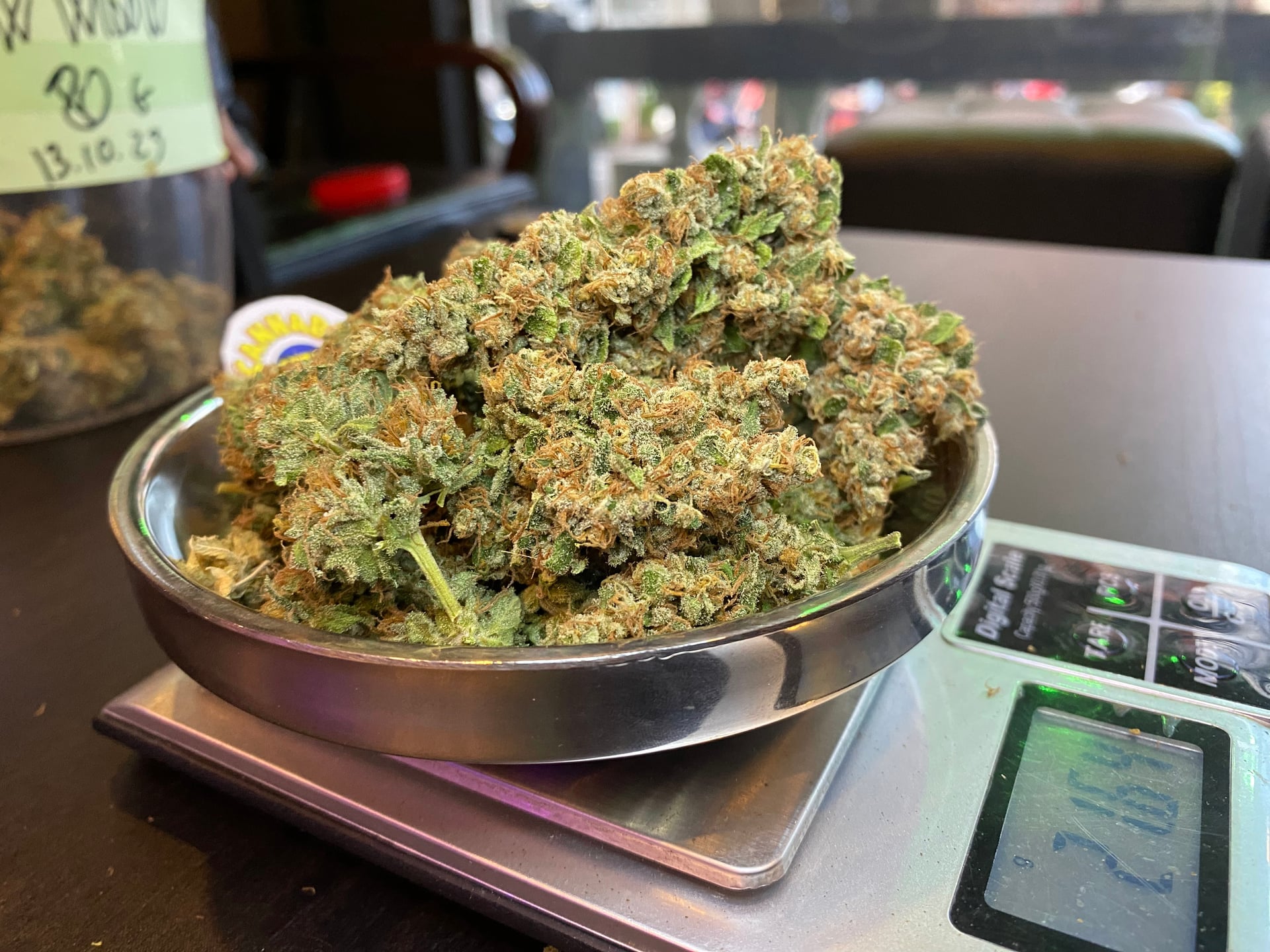Cannabis Phuket Bulldog