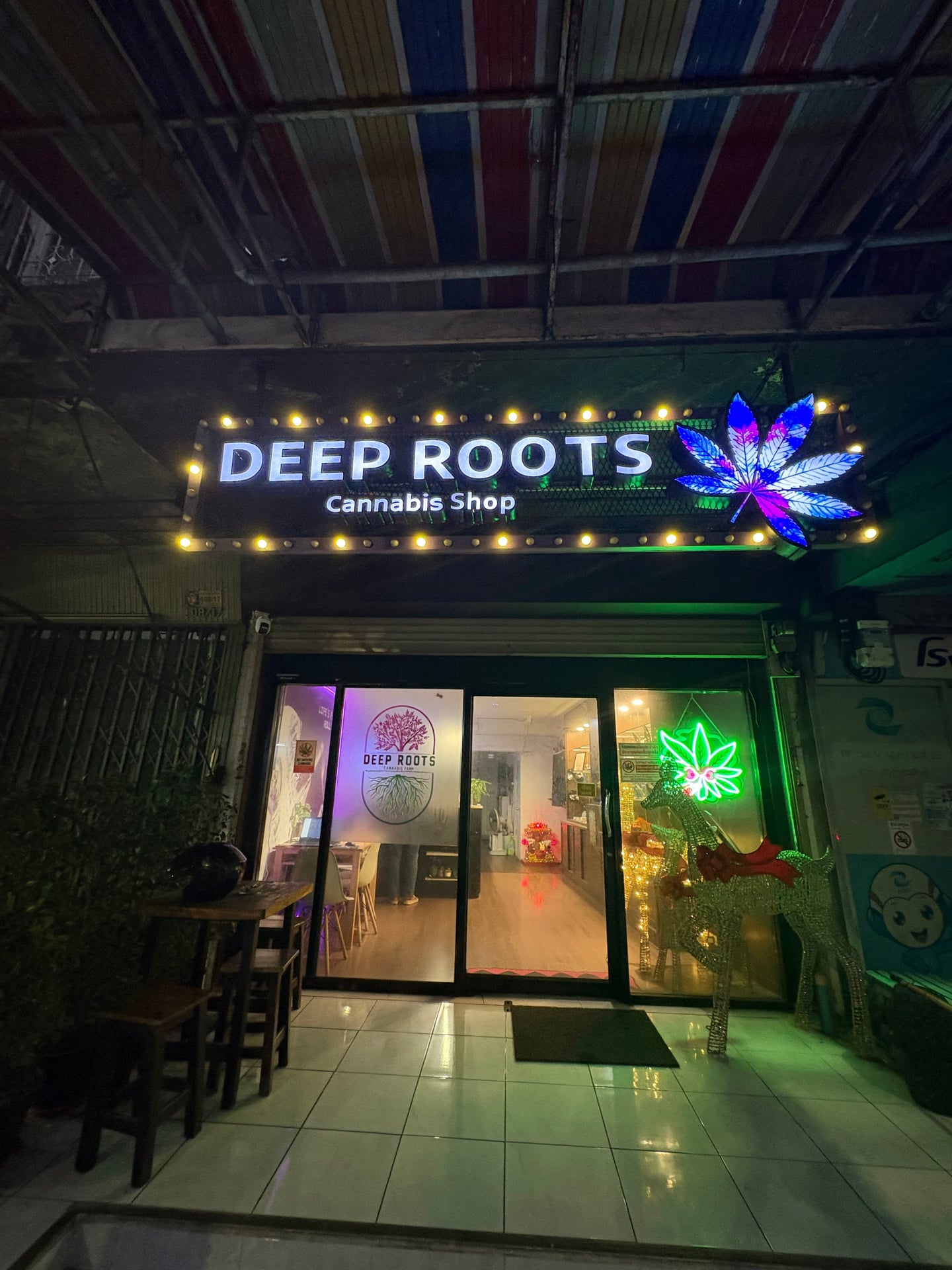 Deep Roots