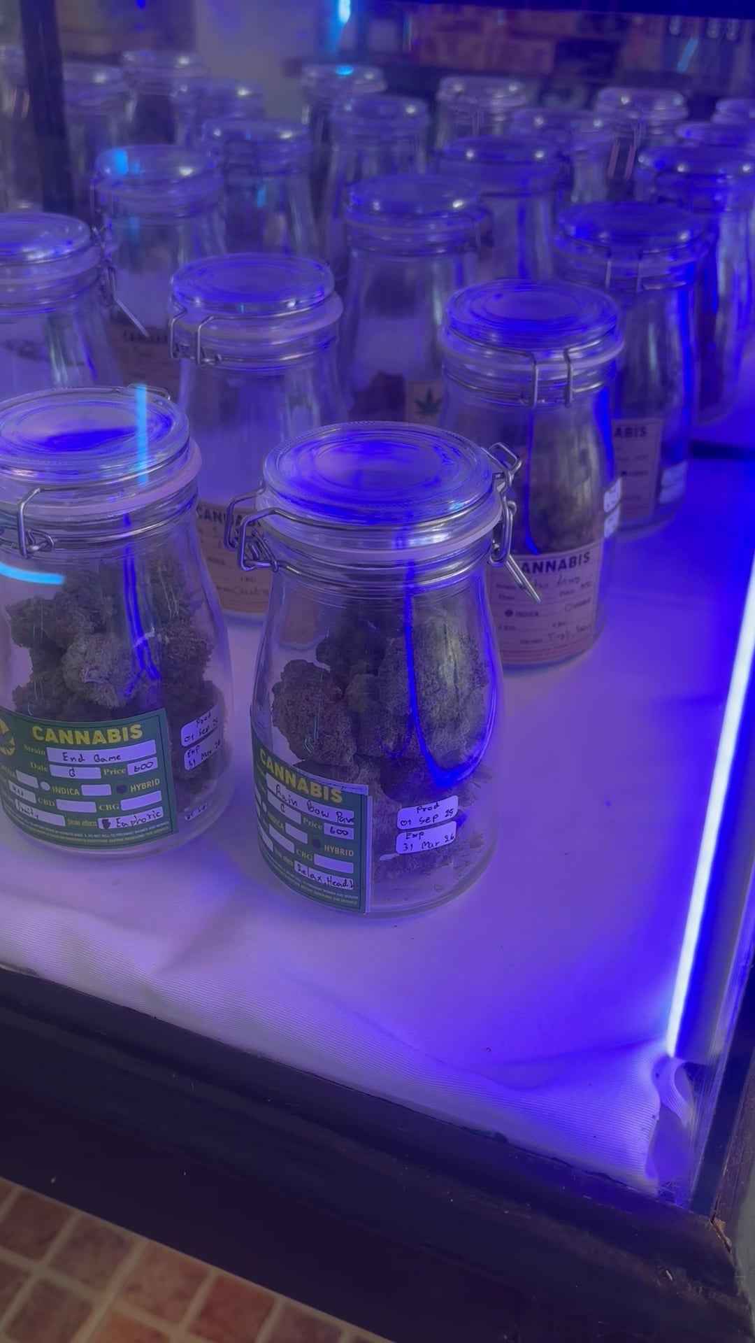 Sea Weed Canabis