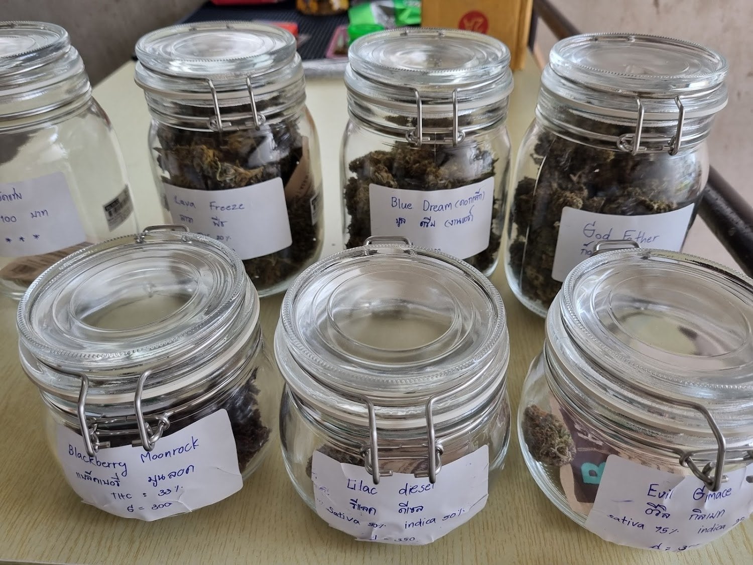 Chanon Cannabiss 2