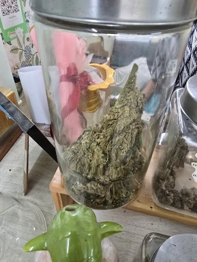 World Of Cannabis