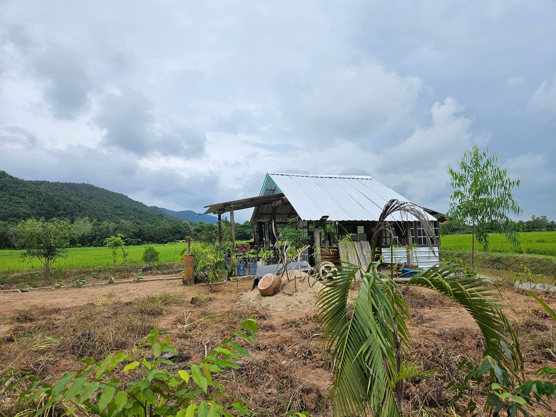 CR Living & Farming