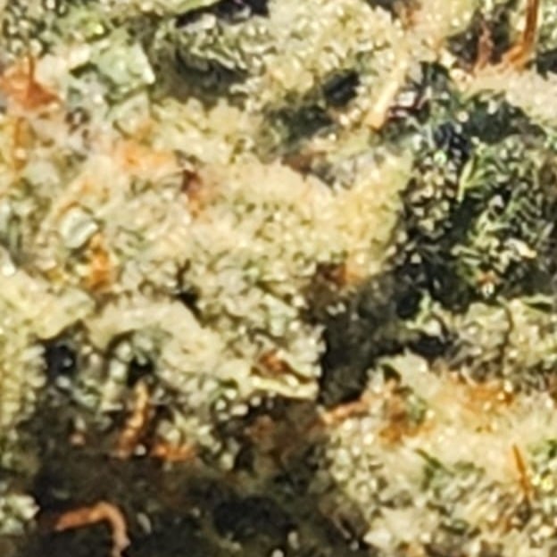 Weed