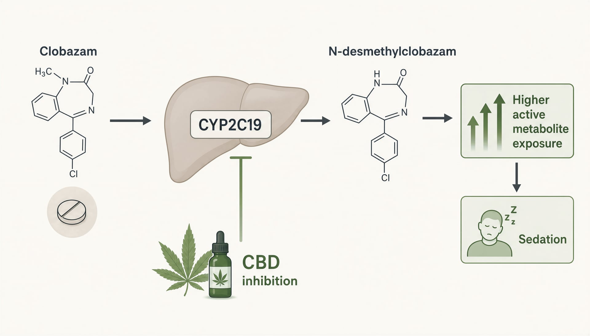 Cannabis en epilepsie: CBD, THC, klinische onderzoeken en dosering