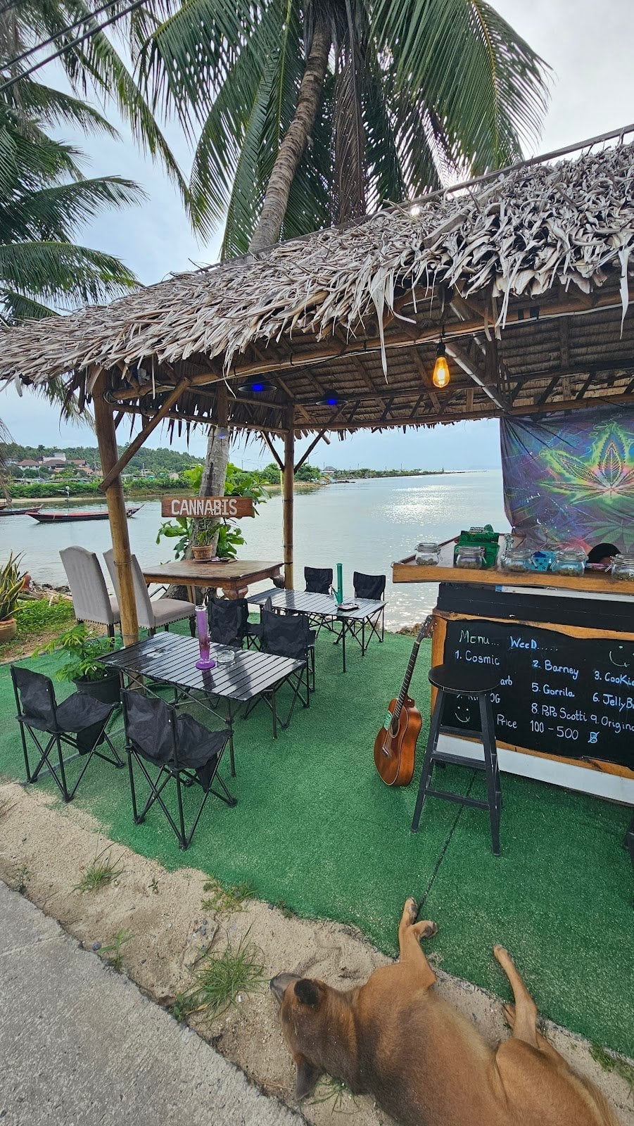 Bass & Wave Cannabis