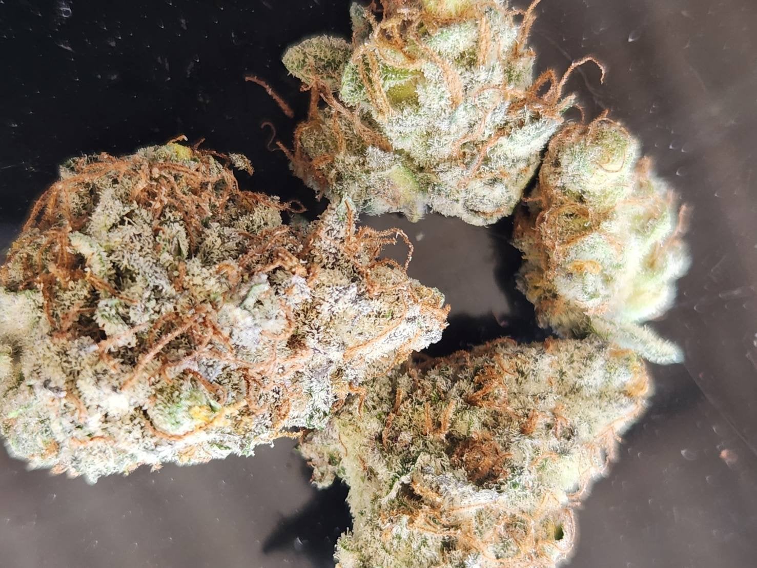 420 Cannabis Lounge KadAnusarn
