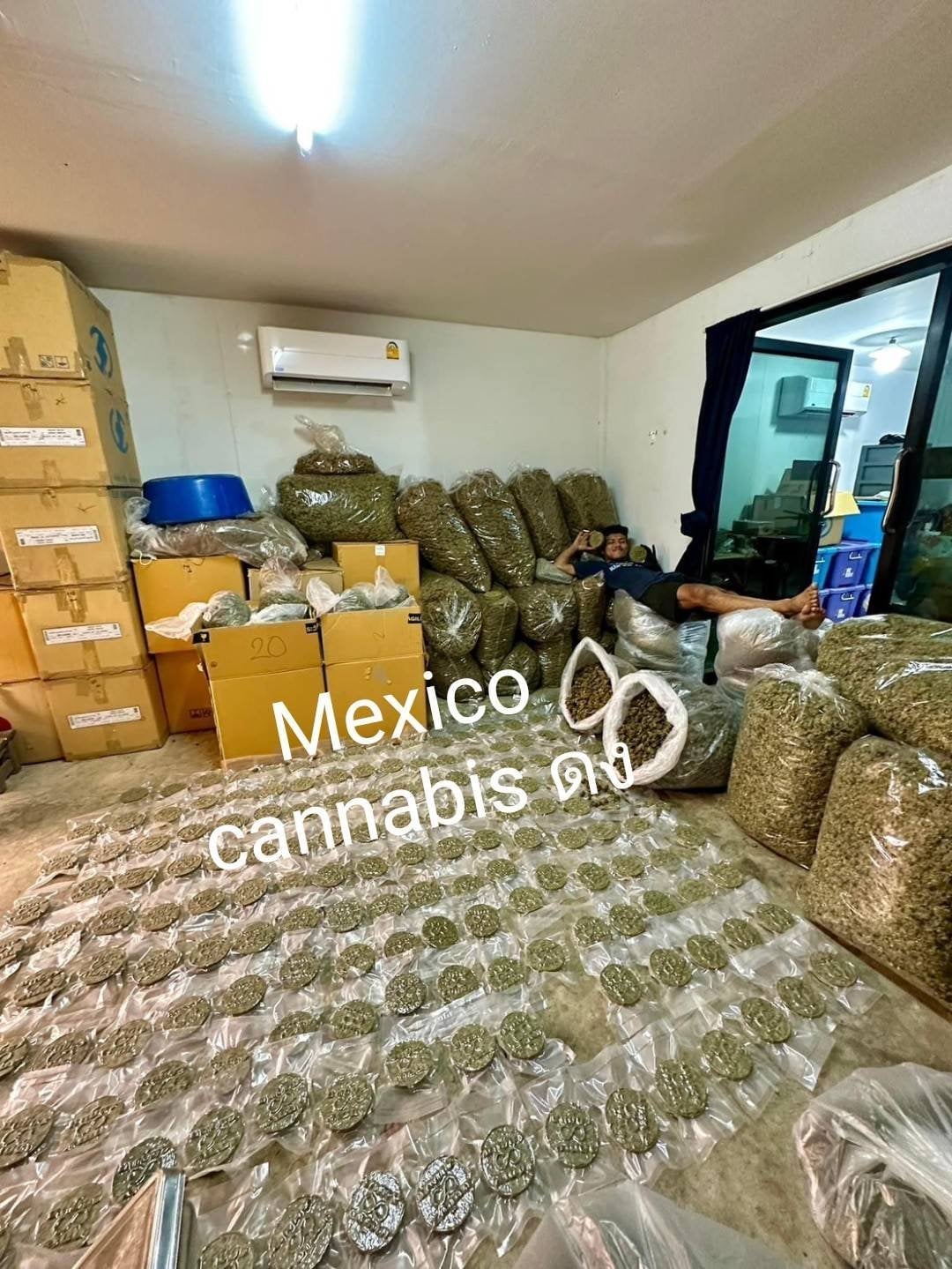 Mexico Cannabis Dong