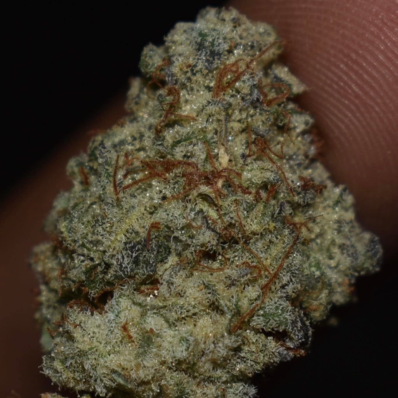 Flower OG
