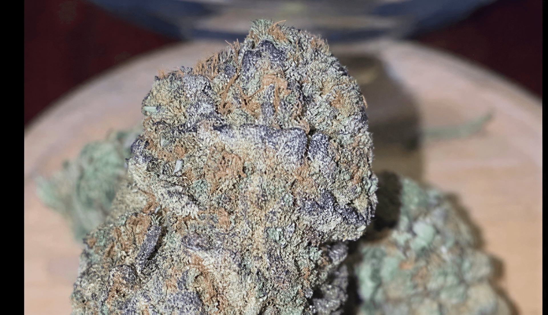 Sativa CSC Ibiza