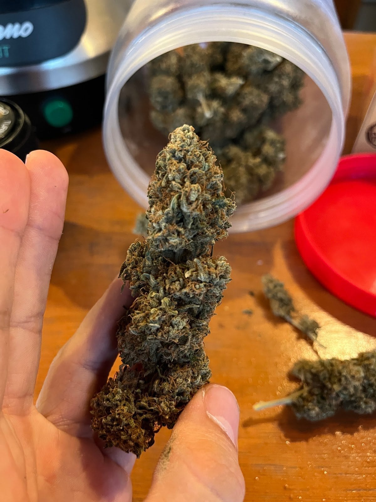 Organic Cannabis Bar & Lounge - Phi Phi Islands