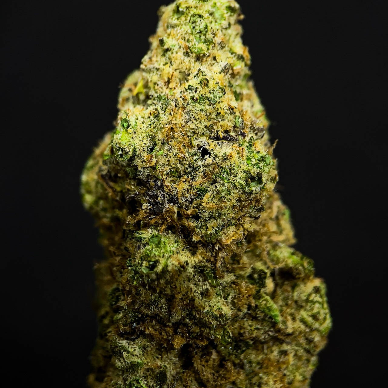 High-endz Exotics