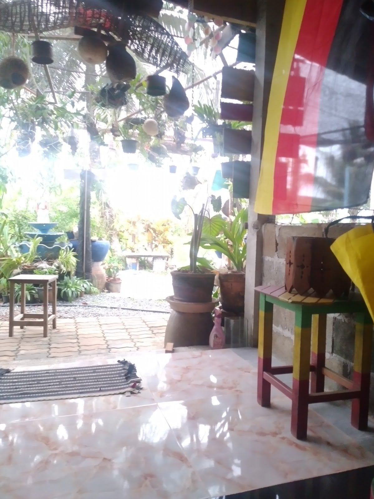 Home Reggae