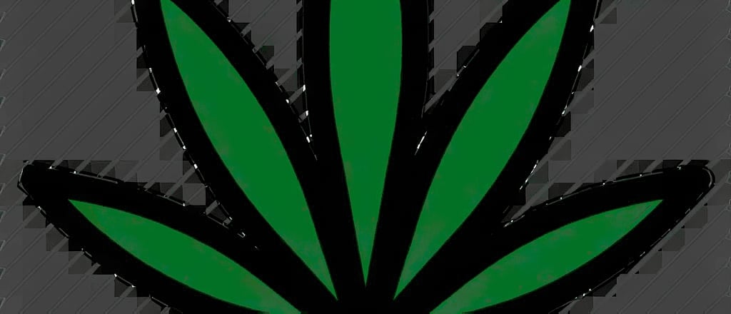 G13 hero