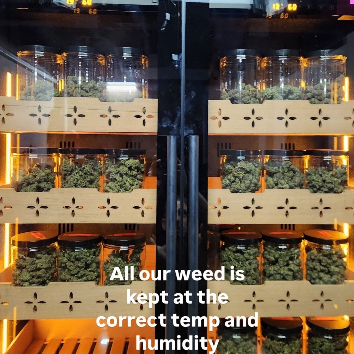 The Plug Bangkok