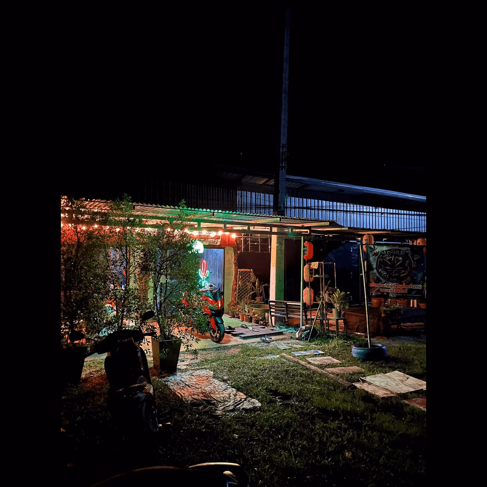 Cannabis Social Club Ga Chan a Ubon Ratchathani logo