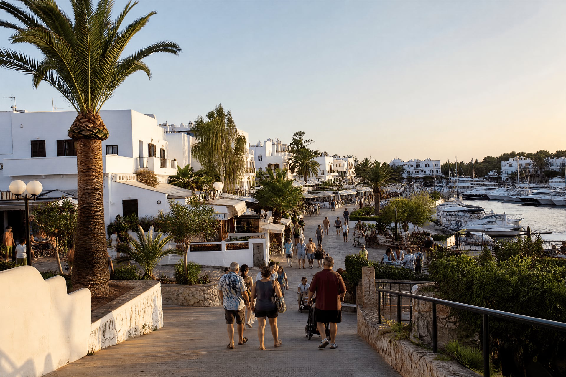 Cala d'Or marina evening scene with local streets and cannabis social club context